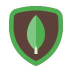 mongoDB